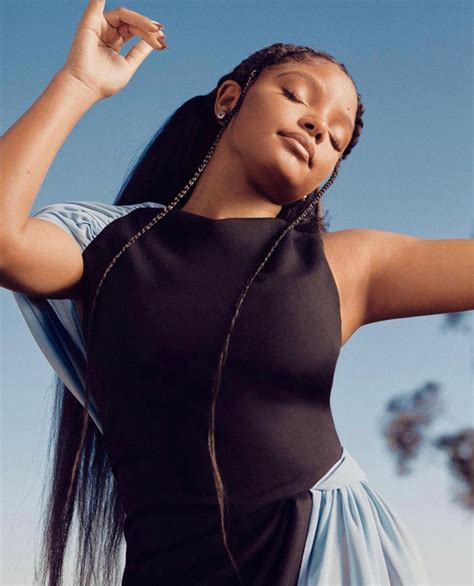 is halle bailey biracial|is halle bailey black.